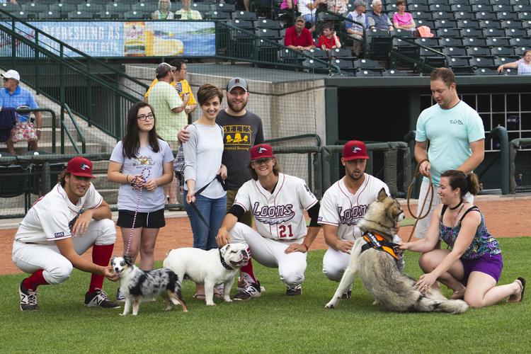 Dogs with Loons players before Bark in the Park