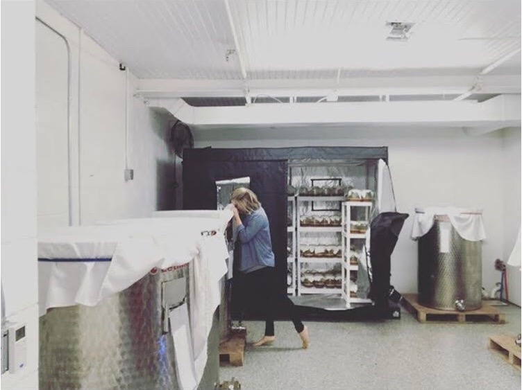 Cultured Ferments now brews in a facility with 12 tanks with 2,000 gallons of capacity.