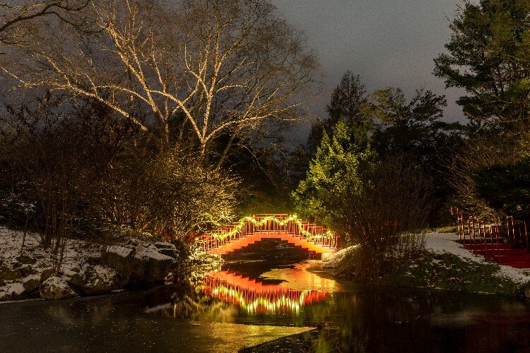 Take a snowy stroll through Dow Gardens for their Christmas Walk event