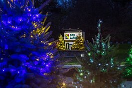 Dow Gardens Christmas Walk is scheduled for Dec. 7-9 & 14-16.
