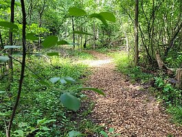 Eagle Ridge Walking Trail