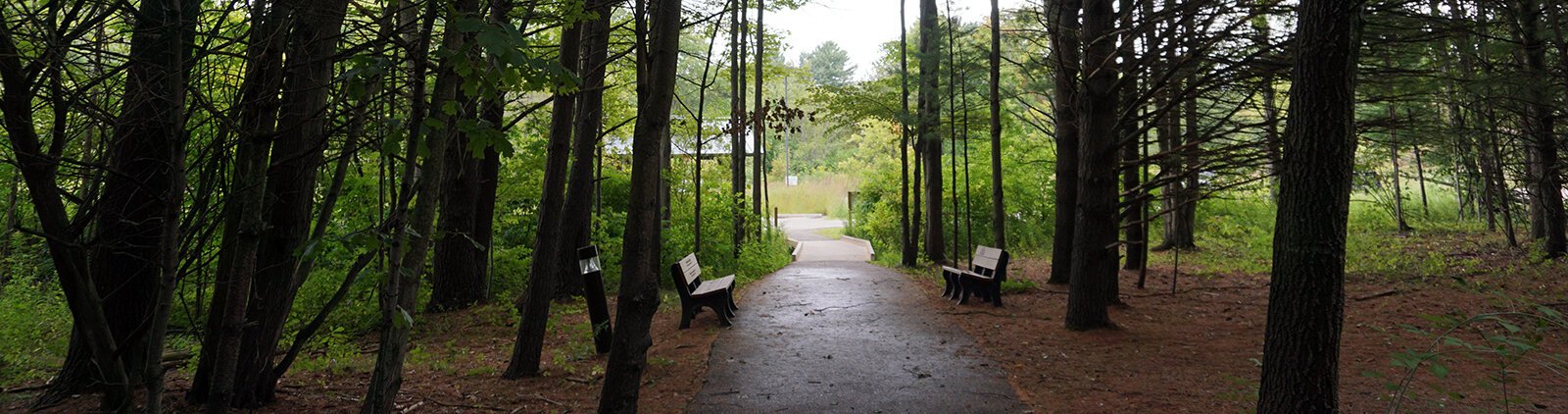 The Great Lakes Bay Region is home to many diverse and beautiful hiking trails, including the Chippewa Nature Center, pictured here.