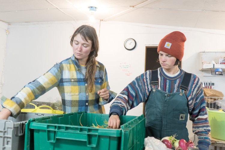 Sarah and apprentice Juila Kuhns sort produce for late fall pickup