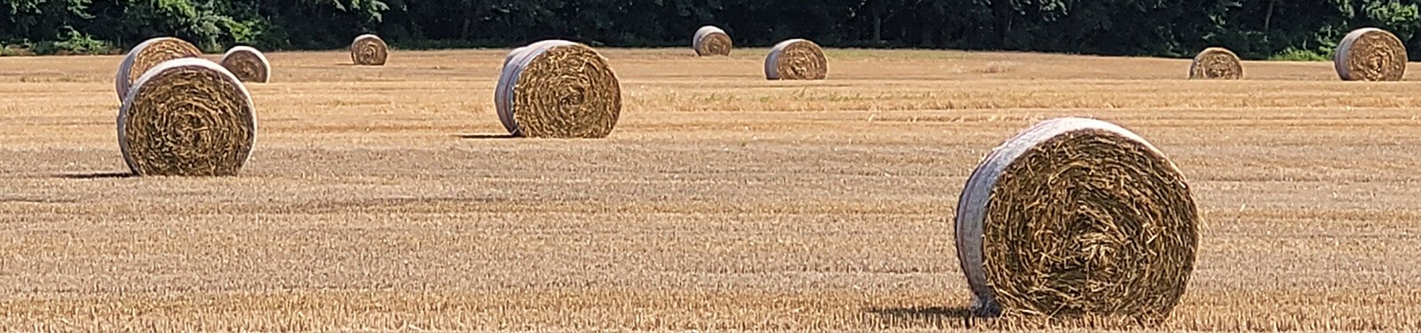 Terry Henne shares his thoughts on the role agriculture plays in our economy, the trends he’s seen, and his concerns going forward.