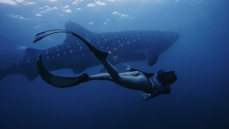 Kia Sebastian at home in the Philippines swimming with one of her pet whales.