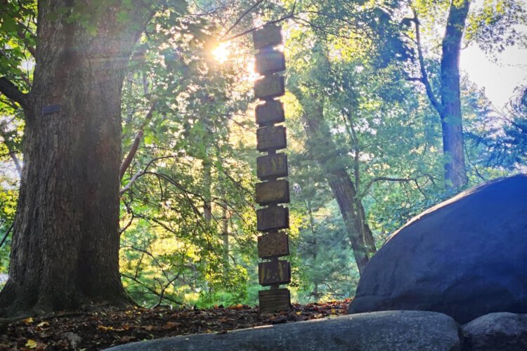 Each sculpture asks the viewer to reflect on the world around them.