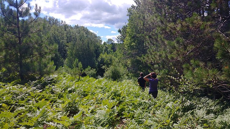 Little Forks Conservancy is hosting a ribbon-cutting ceremony on Saturday, Aug. 21 for the George and Sue Lane Preserve in Sage Township, northwest of Gladwin.