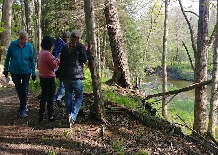 There are many local trails and preserves to explore with Little Forks Conservancy. 