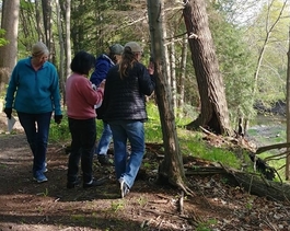 hikers