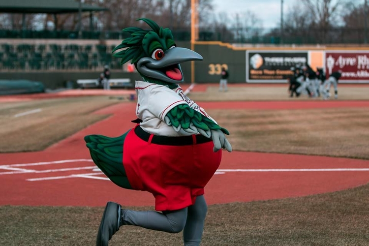 Lou E. Loon doing what he does best, getting the crowd excited during a game.