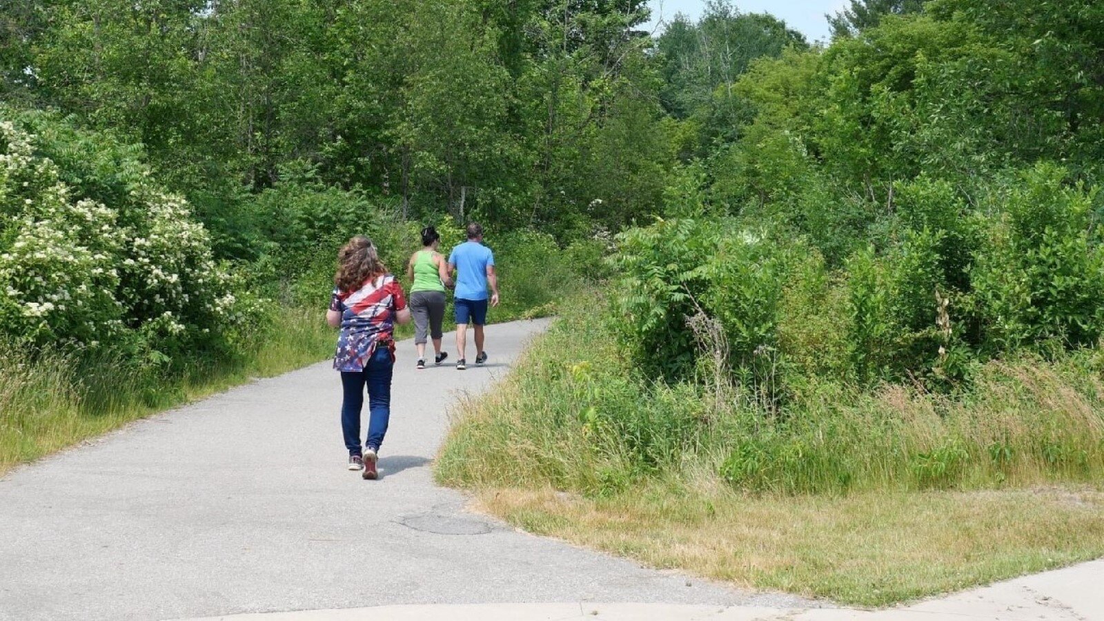 Trailhead at the Averill Preserve