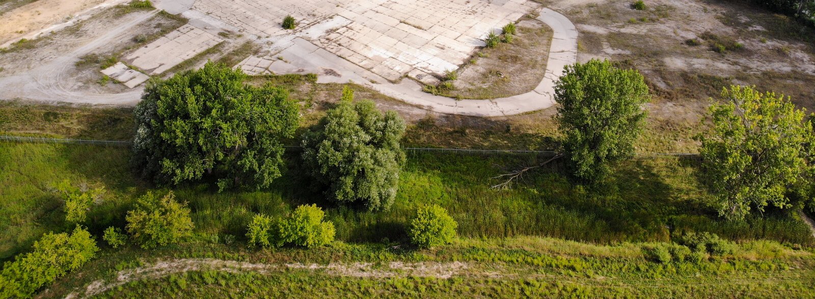 Trees at the edge of the former 4D property in Midland.