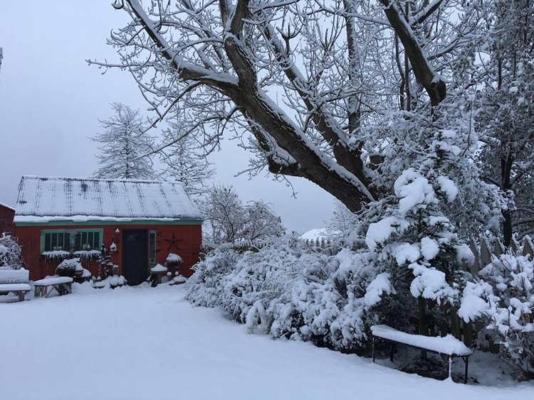 The Lavender Fleece Farm & Studio in Midland.