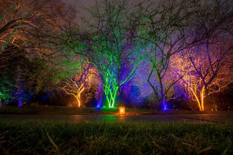 Take a snowy stroll through Dow Gardens for their Christmas Walk event