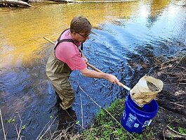 Trained volunteers are eligible to help Little Forks collect samples.