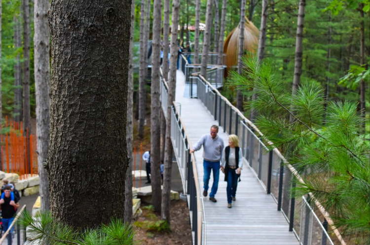 The Canopy Walk in Whiting Forest is the nation’s longest at 1,400 feet. It features a playground, apple orchard, cafe, and two pedestrian bridges.