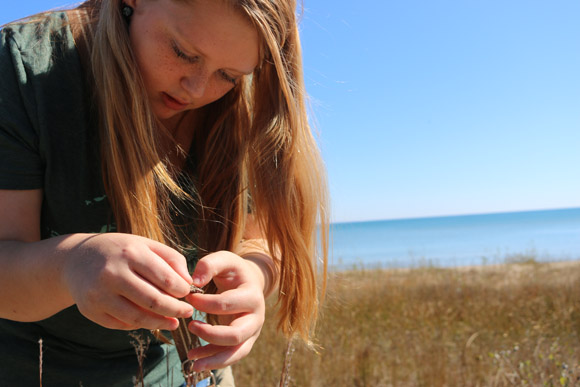 Taking inventory of natural habitats.