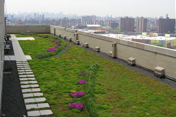 Green roofs are a sustainable part of planning.