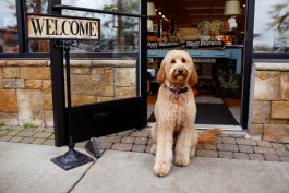 The Lake House's mascot, Ella, draws visitors into the store.