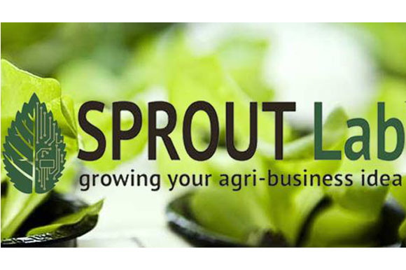 Sprout Lab is based at GVSU.