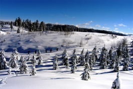 Winter and snow go hand-in-hand in Northwest Michigan and beyond. 