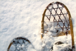 Snowshoes are a blessing when you have a winter like this one. 