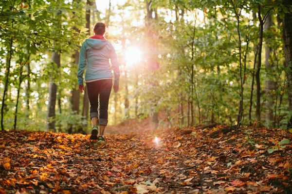 A walk through the Glacial Hills Pathway and Natural Area. / Beth Price