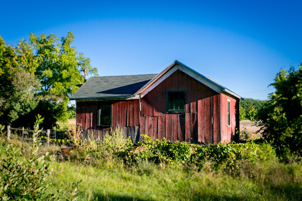 An old building on Campbell-DeYoung Farm. / Andrew Williamson