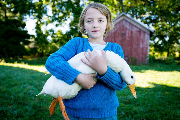 the Campbell-DeYoung Farm. / Andrew Williamson