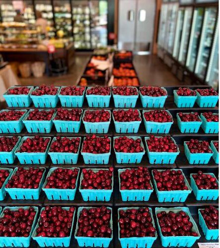 bearcreekcherries