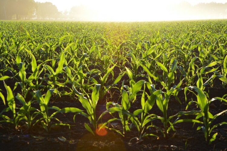 “This project is an example of the commitment from public, private, and non-profit organizations to address the nutrient loading issue in the Western Lake Erie Basin," says MDARD Director Gary McDowell.