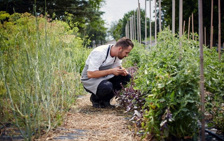 A Creative Dining Services employee in a community garden.