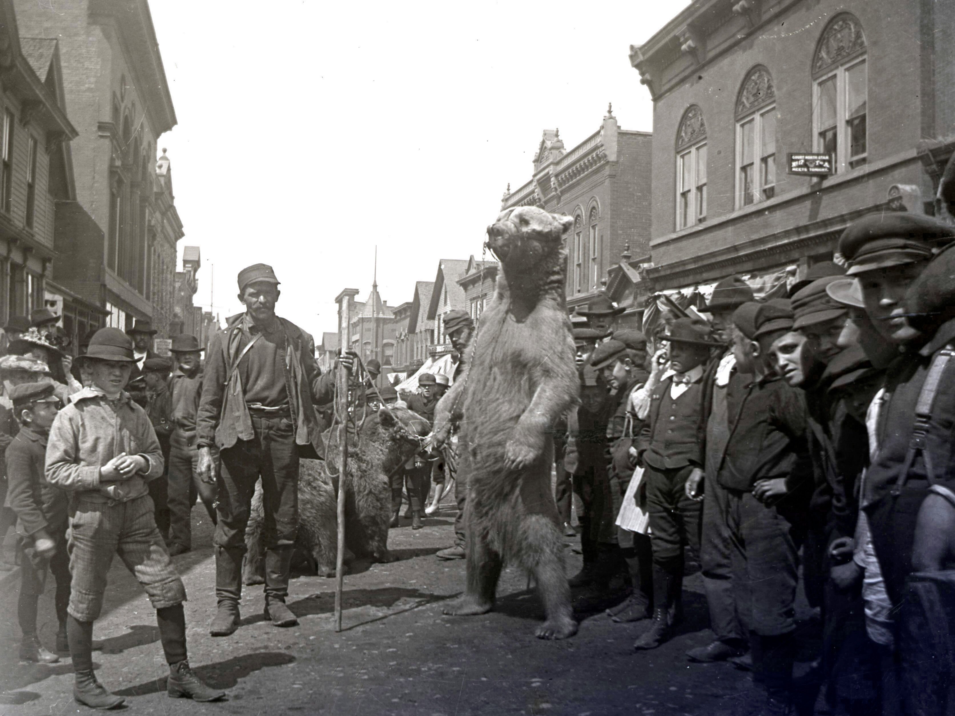 Dancing bears on the downtown streets of Calumet.