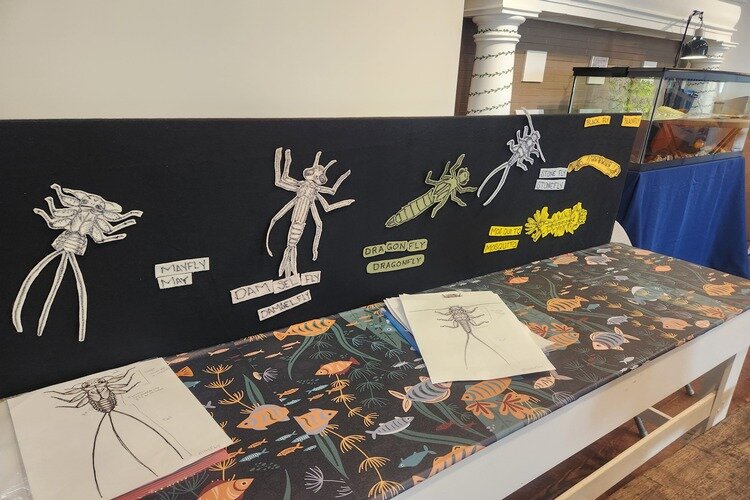 A "Build Your Own Macroinvertebrate" Table that will be inside the Blue Water, Green Spaces Exhibit at the Carnegie Museum.