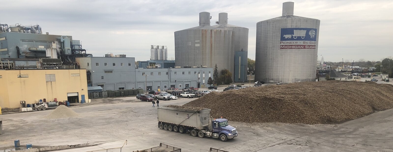 Michigan Sugar turns millions of tons of beets into sugar every year.