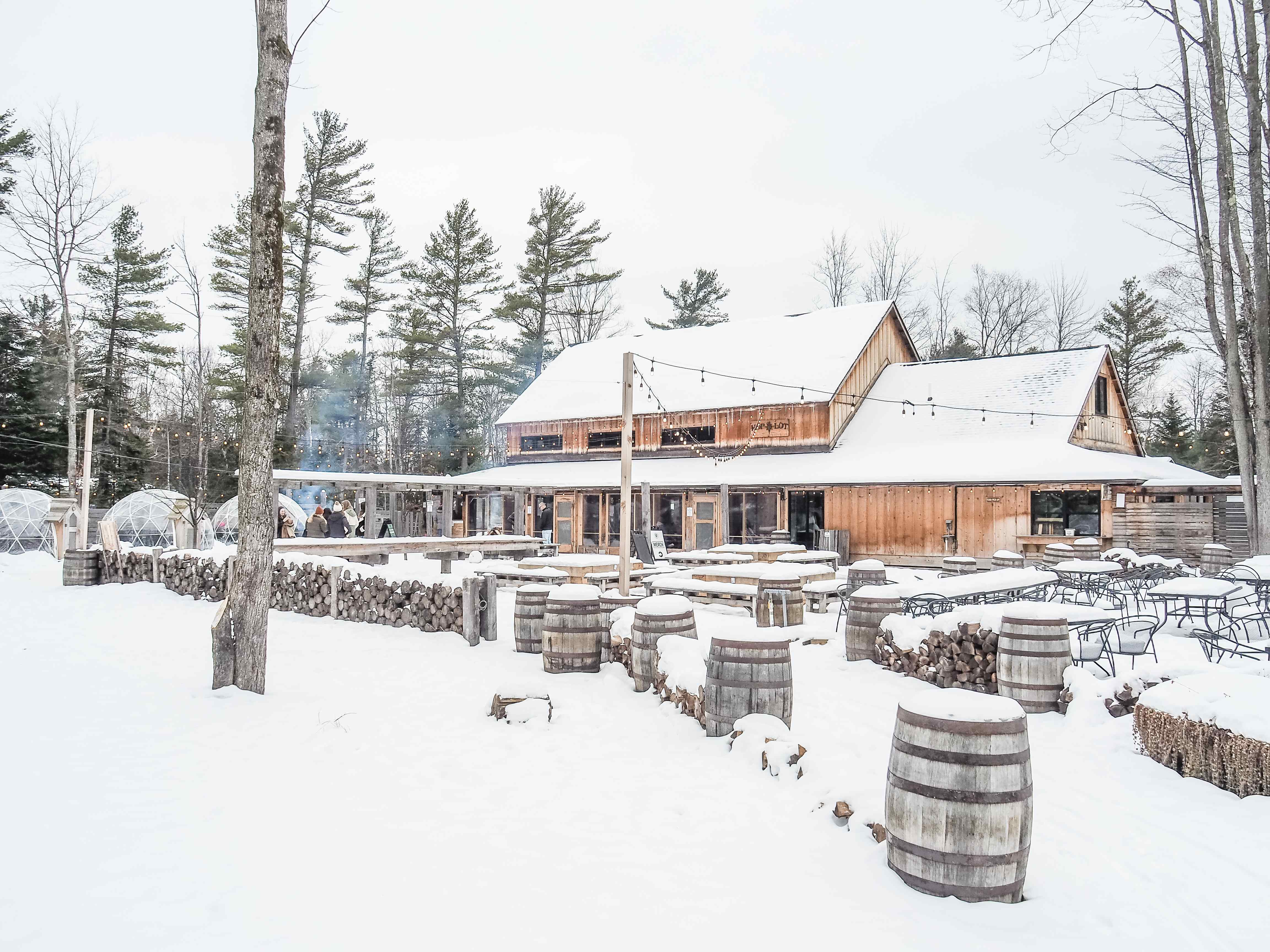 Heavily wooded, the back lot creates an Up North ambiance.