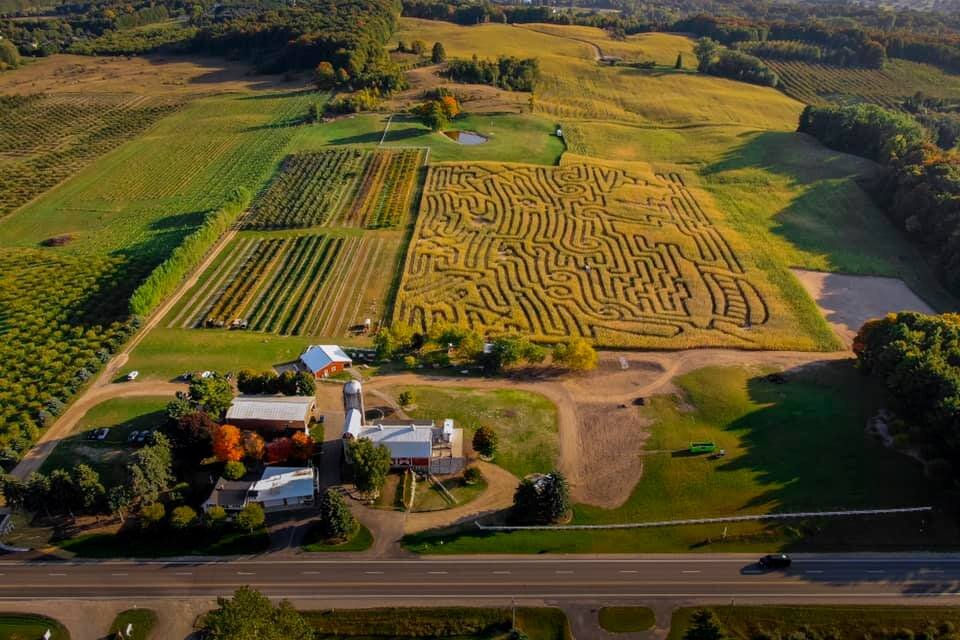 Aerial view of Jacob's Farm and its corn maze outside Traverse City.