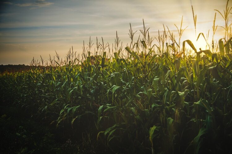 “Our goal is to build a legacy of sustainable farming and farmland for generations of Michiganders and Michigan grown products,” says MDARD Acting Director Kathy Angerer.