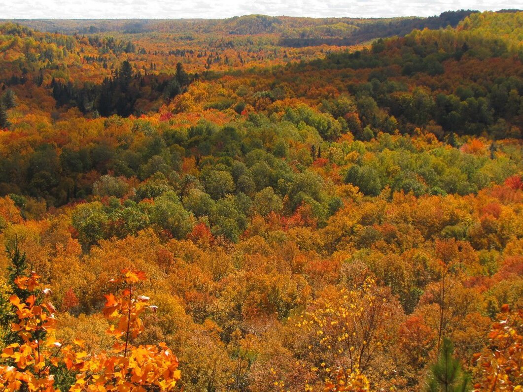 View of the Sturgeon River Gorge from the top of Silver Mountain.