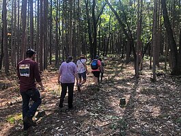 Hikers explore the woods at the Howard and Hazel Weting Preserve in Clare County.