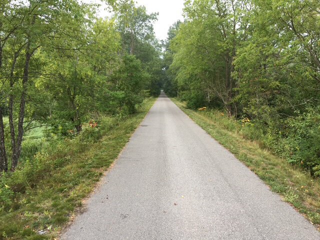 whitepinetrail
