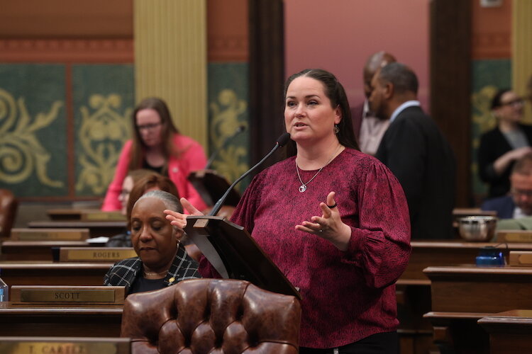 State Rep. Carrie Rheingans (D-Ann Arbor) introduced the Office of Tribal Liaison (OTLL)