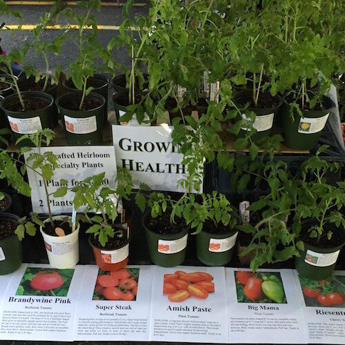 Some of the types of plants that have previously been sold at the Kalamazoo Farmers Market.