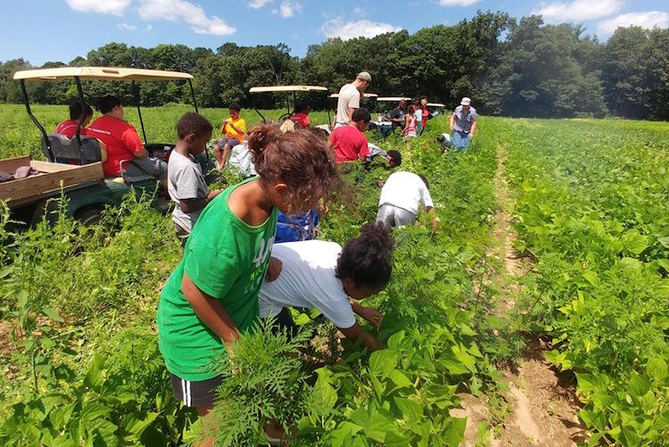 The market team went on 10 farm visits throughout the season, including one to Scobey's Produce with the YMCA.