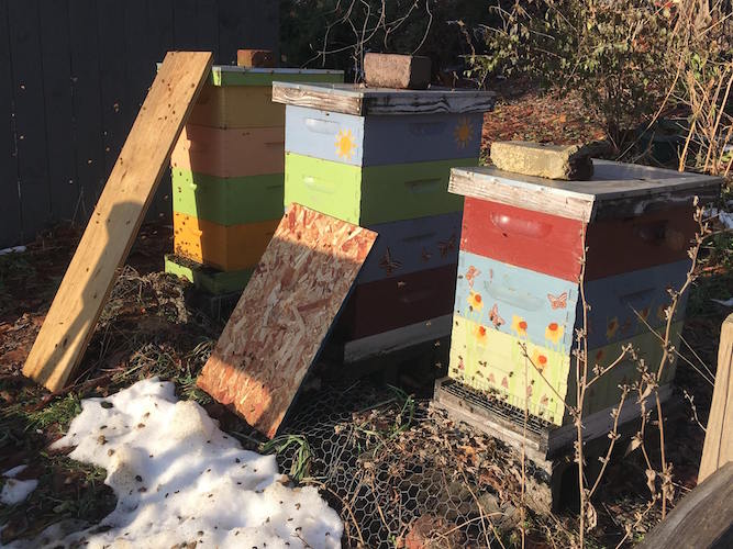 In its heyday, the Trybal Revival Eastside Eco Garden had a thriving apiary.