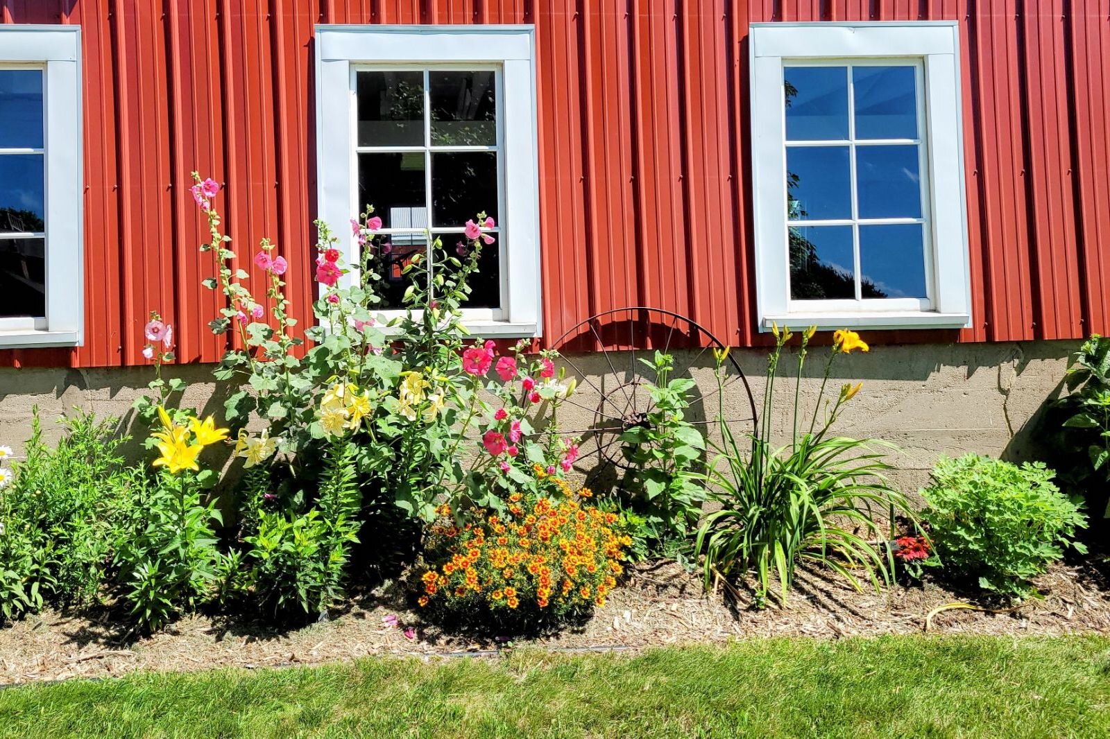 Ron Quinn and his wife Ann purchased 26 acres of the 150-acre Lockwood farms property in 1987. It included a house and a barn which was in really bad condition and have brought it back to life.