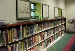 Life Size Forbidden Island — Kalamazoo Public Library