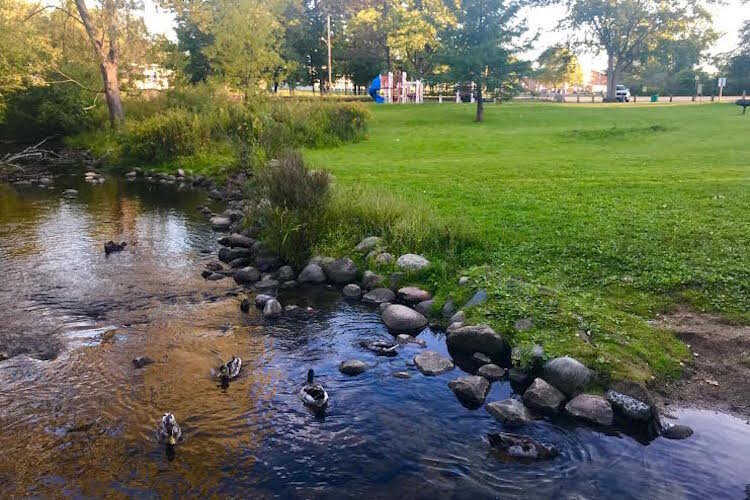 Milham Park is considered one of the green jewels of the City of Kalamazoo. It is located in the Milwood Neighborhood, where members of the Neighborhood Watch Association hope to recruit members to help with some needed maintenance work there.