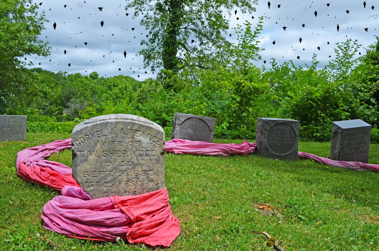 Photographs taken at Mountain Home Cemetery in Kalamazoo, using a long swath of donated white cloth dyed red and pink to connect the graves as a way of reflecting many faiths' belief that we are all truly interconnected and equal in death.