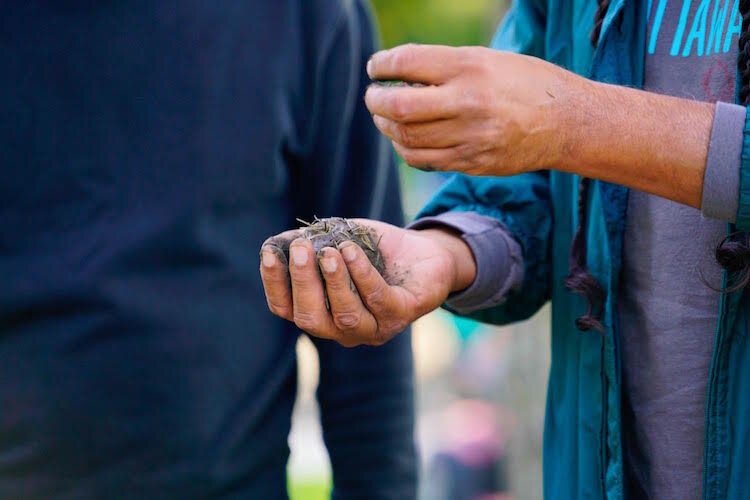 The restocking of Wild Rice in the Kalamazoo River was performed using balls of mud and Wild Rice seeds, during a 2016 Tribal Water Workshop.